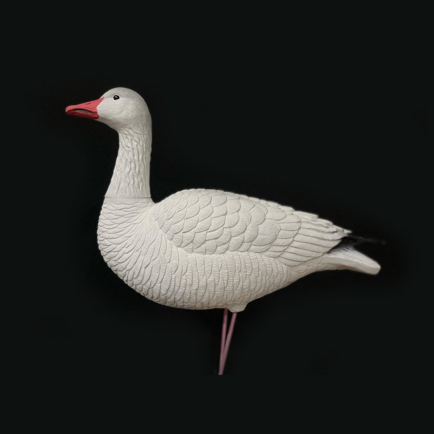 Full Body Snow Goose 6-pack