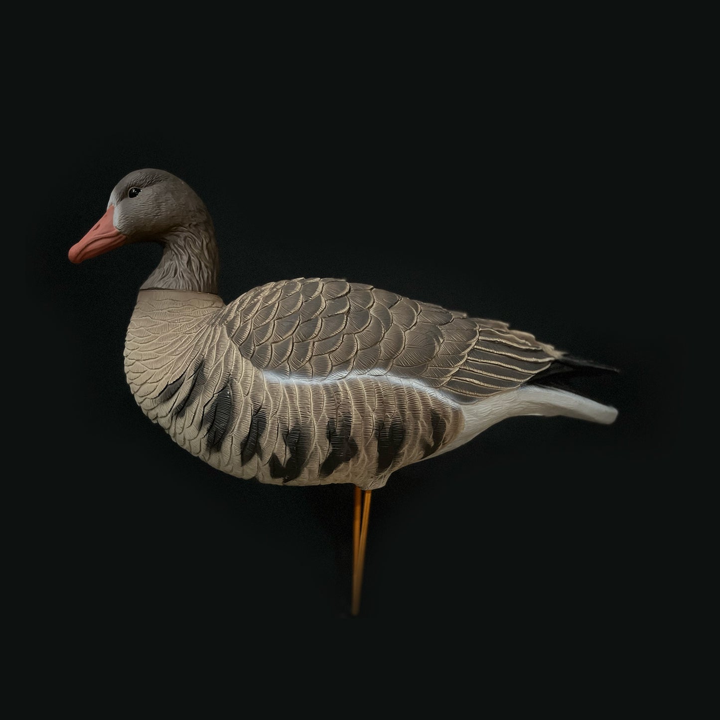 Full Body Specklebelly Goose 6-pack